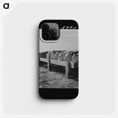 2-60_Marion-Post-Wolcott_phone