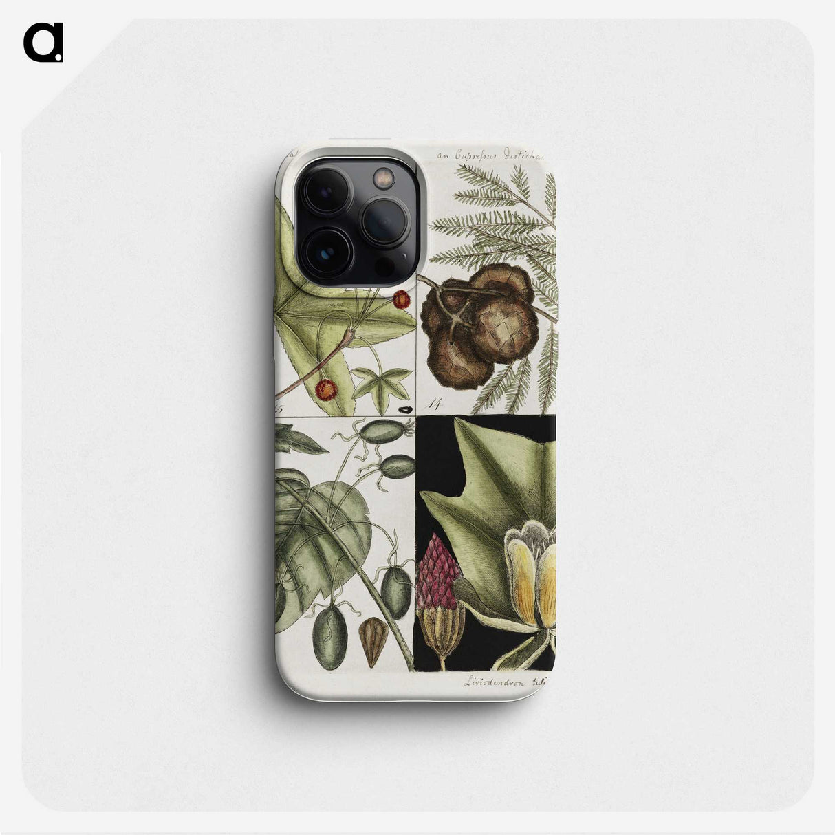 2-60_Mark-Catesby_phone