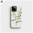 2-60_Mary-Vaux-Walcott_phone