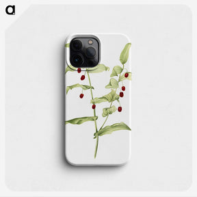 2-60_Mary-Vaux-Walcott_phone