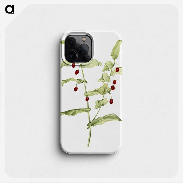 2-60_Mary-Vaux-Walcott_phone
