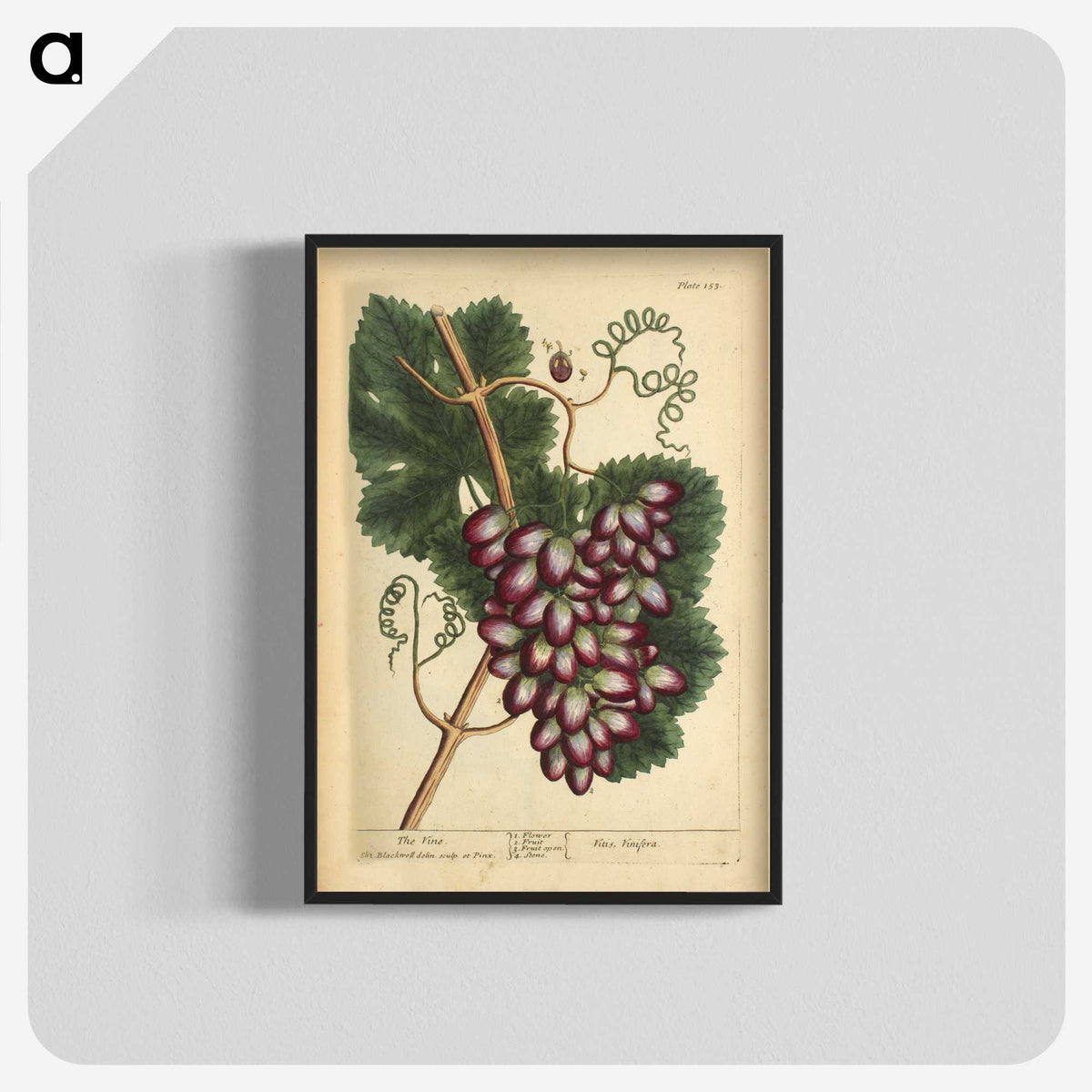2-60_National-Library-of-Medicine_blk-crop