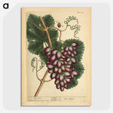 2-60_National-Library-of-Medicine_picture-crop