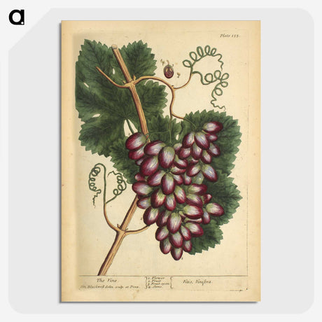 2-60_National-Library-of-Medicine_picture-crop