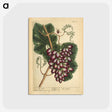 2-60_National-Library-of-Medicine_postcard