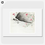 2-60_Ohara-Koson_picture