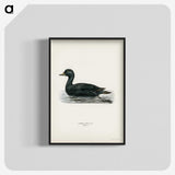 2-60_Svenska-Faglar_blk-crop