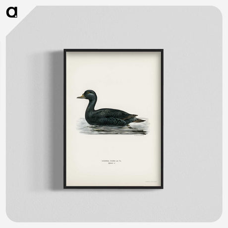 2-60_Svenska-Faglar_blk-crop