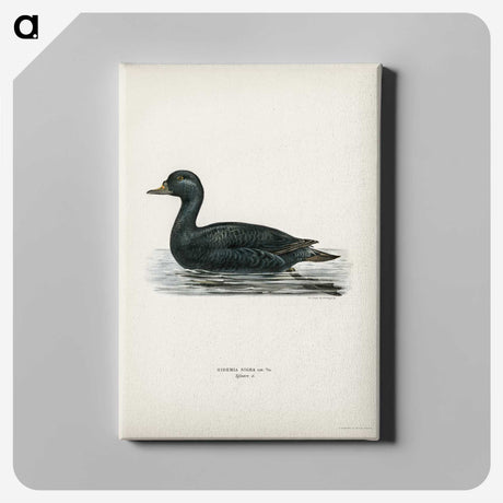 2-60_Svenska-Faglar_canvas