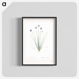 2-60_The-Lilies_blk