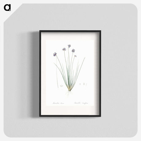 2-60_The-Lilies_blk
