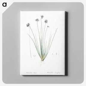 2-60_The-Lilies_canvas