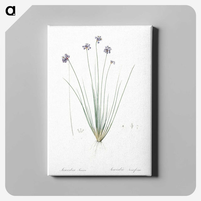 2-60_The-Lilies_canvas
