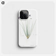 2-60_The-Lilies_phone