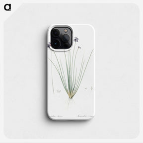 2-60_The-Lilies_phone