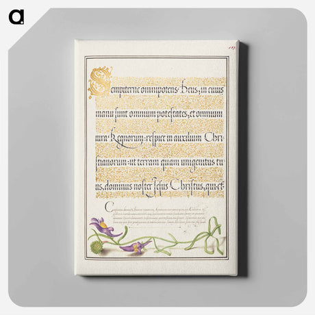 アートパネル-Toadflax from Mira Calligraphiae Monumenta
 - 書道のお手本 Canvas.
