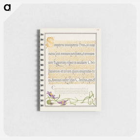 アートメモ帳-Toadflax from Mira Calligraphiae Monumenta
 - 書道のお手本 Memo.