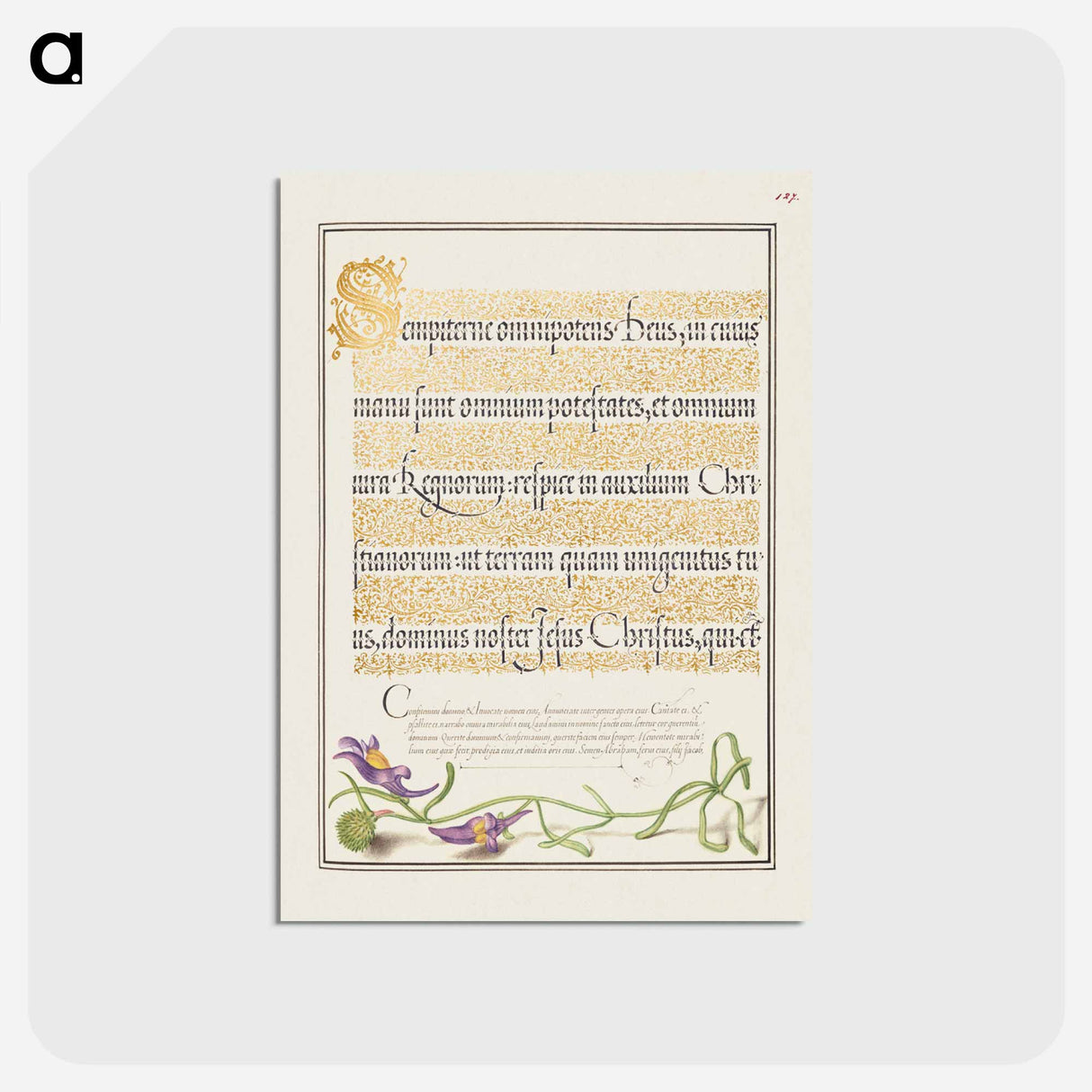 アートポストカード-Toadflax from Mira Calligraphiae Monumenta
 - 書道のお手本 Postcard.