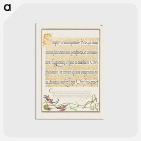 アートポストカード-Toadflax from Mira Calligraphiae Monumenta
 - 書道のお手本 Postcard.