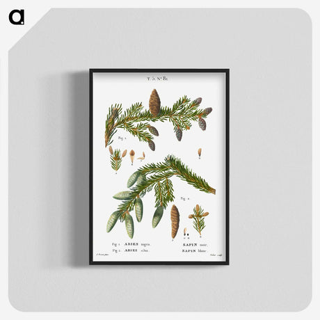 2-60_Treatise-on-Trees-and-Shrubs_blk-crop