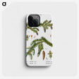 2-60_Treatise-on-Trees-and-Shrubs_phone