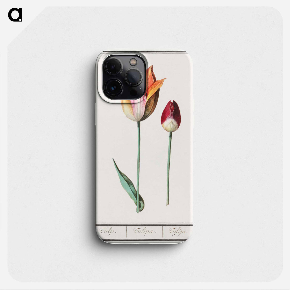 Tulip - アンセルムス ボエティウス デ ブート Phone Case.