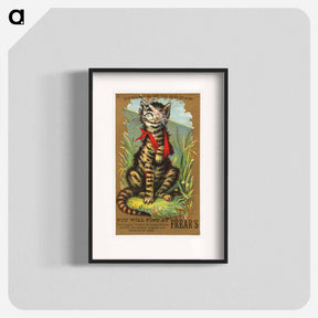 アートポスター-Injured Cat at Frear's
 - ボストン公共図書館 Poster.