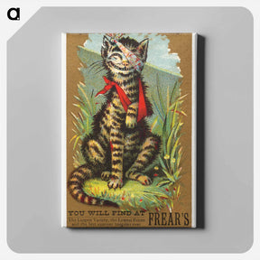 アートパネル-Injured Cat at Frear's
 - ボストン公共図書館 Canvas.