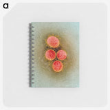 2-61_COVID-19_memo