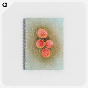 2-61_COVID-19_memo
