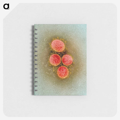 2-61_COVID-19_memo