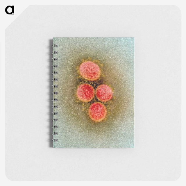 2-61_COVID-19_memo