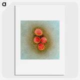 2-61_COVID-19_picture