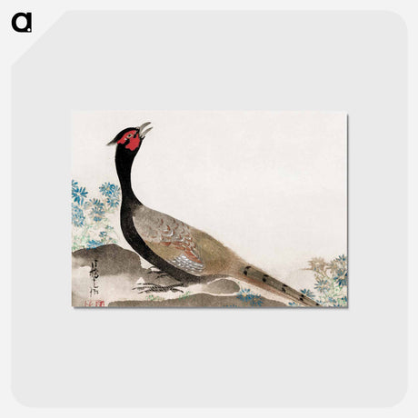 アートポストカード-Japanese Pheasant
 - クリーブランド美術館 Postcard.