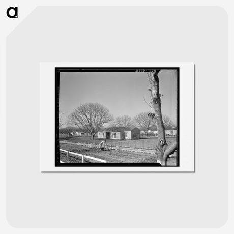 2-61_Dorothea-Lange_hagaki
