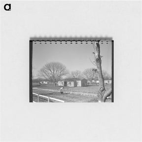 アートメモ帳-El Monte federal homesteads - ドロテア ラング Memo.