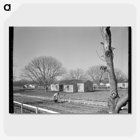 2-61_Dorothea-Lange_picture-crop
