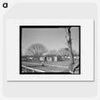 2-61_Dorothea-Lange_picture