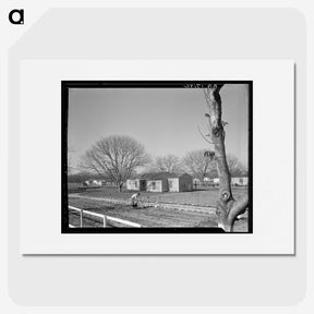 2-61_Dorothea-Lange_picture