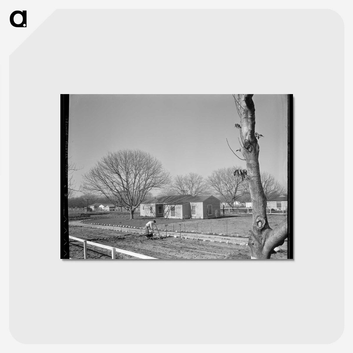 2-61_Dorothea-Lange_postcard
