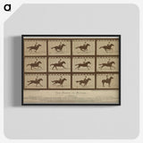 2-61_Eadweard-Muybridge_blk-crop