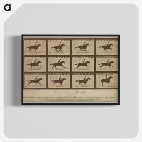 2-61_Eadweard-Muybridge_blk-crop