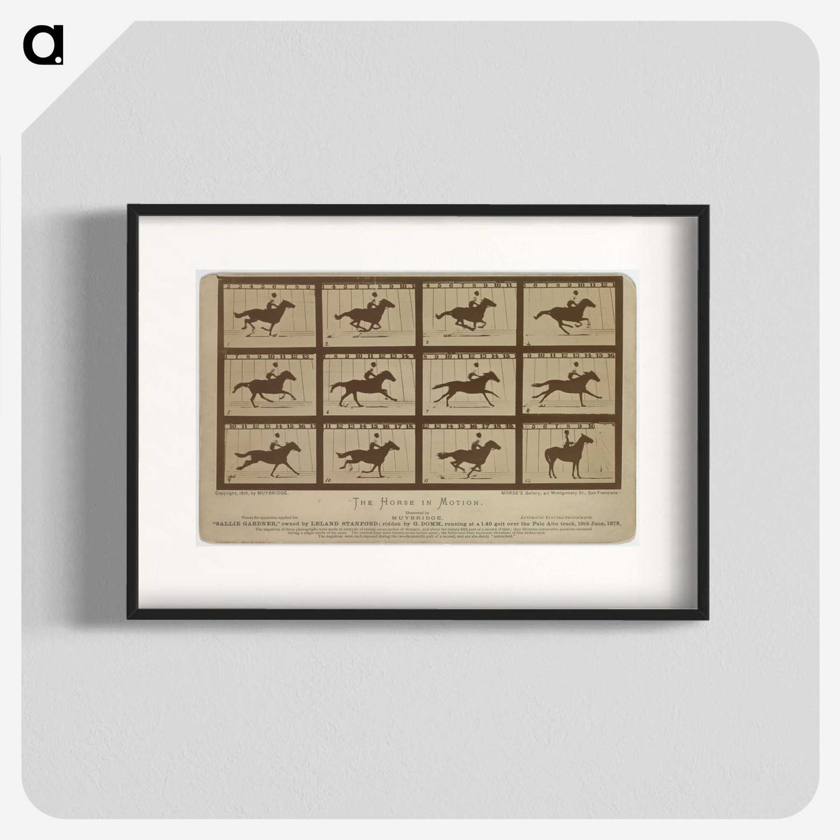2-61_Eadweard-Muybridge_blk