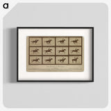 2-61_Eadweard-Muybridge_blk