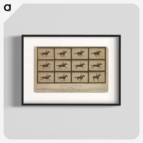 2-61_Eadweard-Muybridge_blk