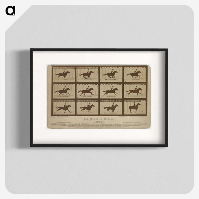 2-61_Eadweard-Muybridge_blk