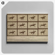 2-61_Eadweard-Muybridge_canvas
