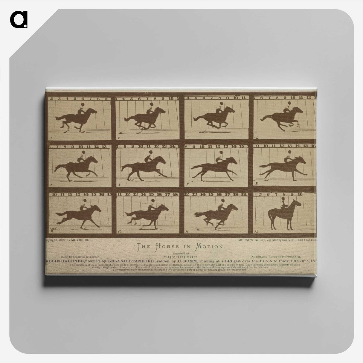 2-61_Eadweard-Muybridge_canvas