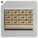 2-61_Eadweard-Muybridge_canvas