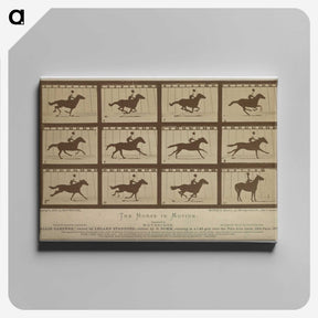 2-61_Eadweard-Muybridge_canvas